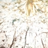 All_causes_of_things_are_beginnings