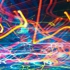 2009lightridewildtoowb