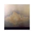 Halverson-frazier-2