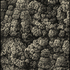 Orinou_web