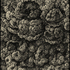 Orinou_2_web