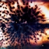 Colorbang50