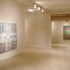 Joel_king_exhibit_2