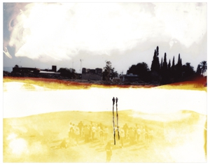 Curtis_mann