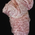 Cocoon_1