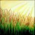 As_cropped20110117201540-paddy_field