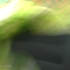 Green_wave