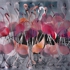 Flamingos_