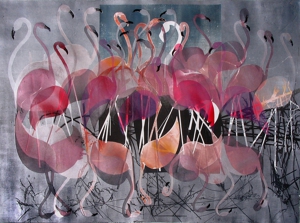 Flamingos_