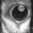 God_s_eye___n_58_000