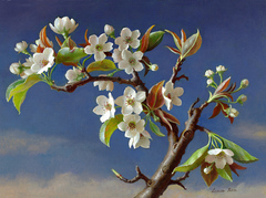 Pearblossom