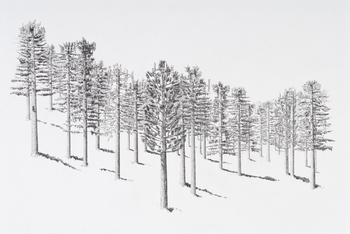 Cant_see_the_forest_low_res