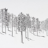 Cant_see_the_forest_low_res