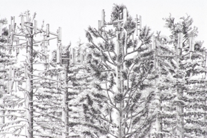 Cant_see_forest_detail_3