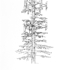 Signals_number_4