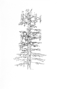 Signals_number_4