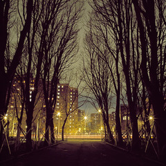 Winter Colonnade,Robert Vizzini