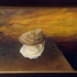 Dsc03581