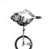 Fishicycle1