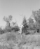 Kaviguptagallery000074