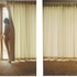 Kaviguptagallery000160