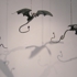 Dragons