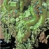 China-statue-2