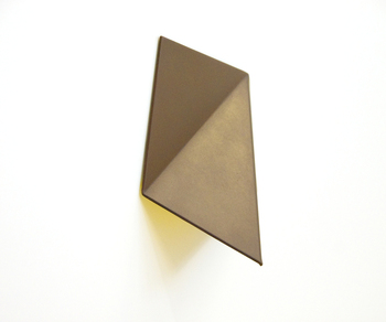 Nwhite_dk-y-gr_left_2009