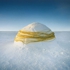 Wrapped_2007