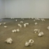 Autocenter_installation_view