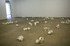 Autocenter_installation_view