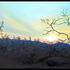 20110113081755-sunset_at_kuppalli_size_12__x24__