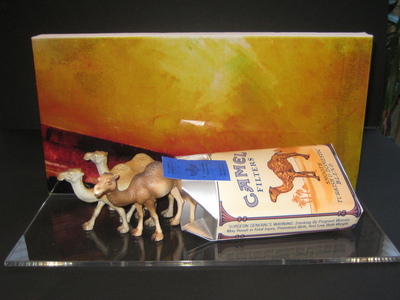 Pack_of_camels