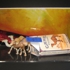 Pack_of_camels