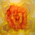 Tovera-innerspace_1