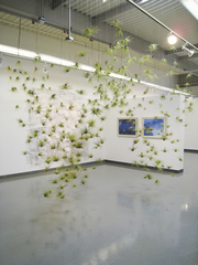 Flora_kao_cloud_1