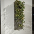 Kim_abeles_map_large_sm