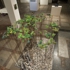 Kim_map_room_1_sm