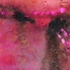 Red_raga_still_sm