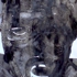 One_eye