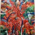 Virgin_jungle_7