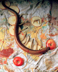 Apple Snake,Sam Adams