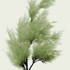 Cannon42x63green