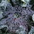 As_ex_members_exhibit_pic_amy_keepfer_obama_doily_2