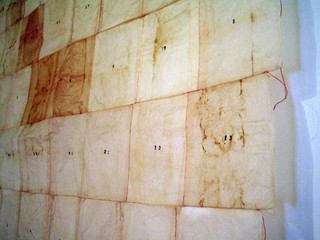 265 Days (detail),Sas Colby