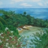 Galle_2