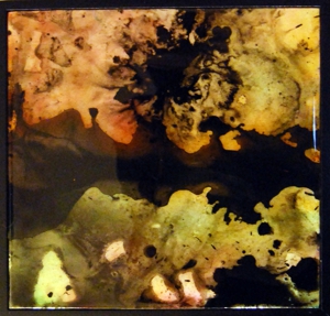 Cycos__12x12in