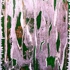 018_000_1615_401x3061