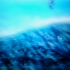 Df006web