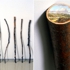 Walking_sticks_mini